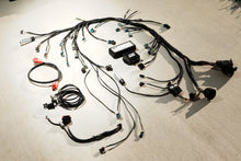 Load image into Gallery viewer, CPE 996/997->GM E38 Plug N' Play Engine Harness (Non-Turbo/GT)